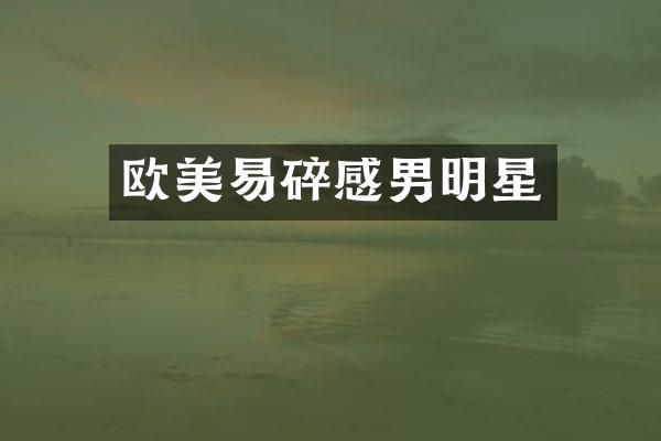 欧美易碎感男明星