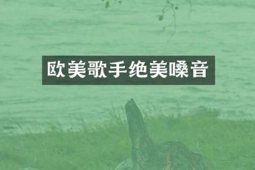 欧美歌手绝美嗓音