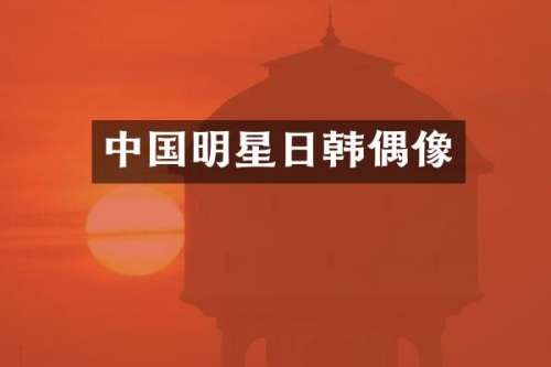 中国明星日韩偶像