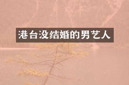 港台没结婚的男艺人