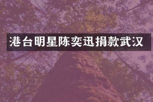 港台明星陈奕迅捐款武汉