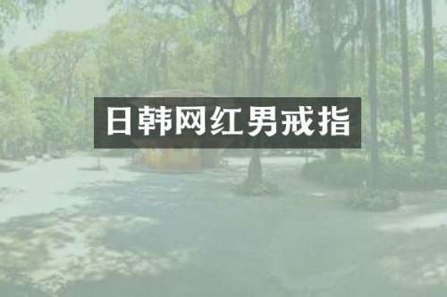 日韩网红男戒指