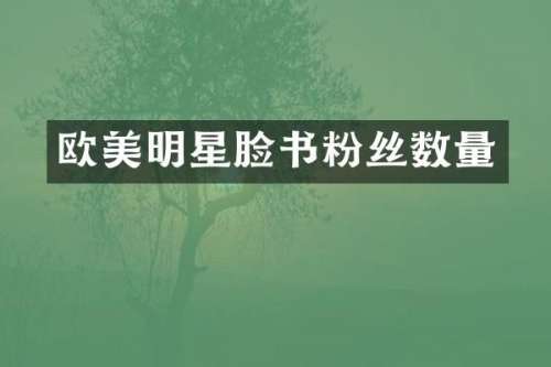 欧美明星脸书粉丝数量