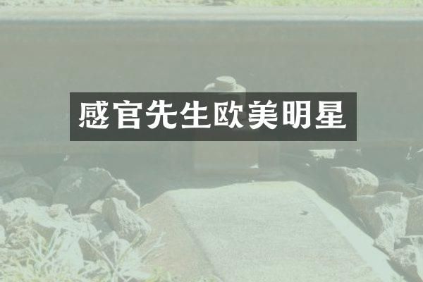 感官先生欧美明星