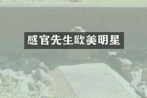 感官先生欧美明星