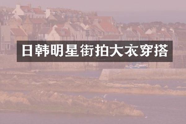 日韩明星街拍大衣穿搭