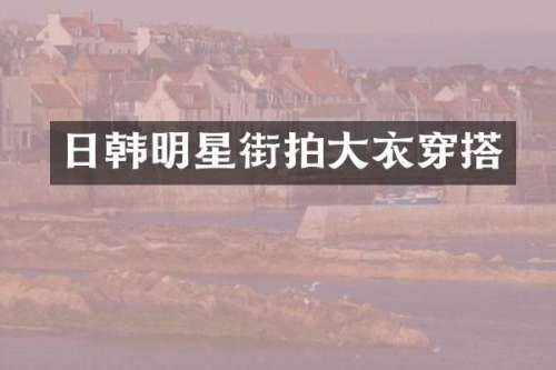 日韩明星街拍大衣穿搭