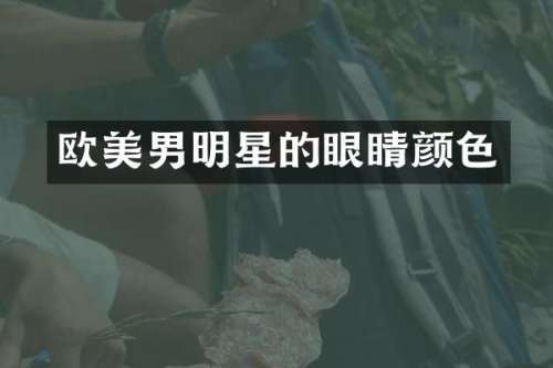 欧美男明星的眼睛颜色