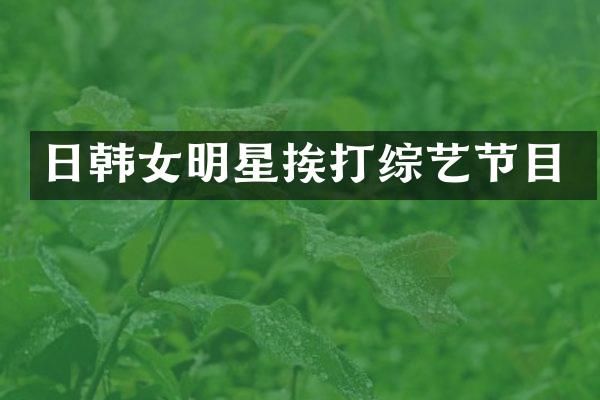 日韩女明星挨打综艺节目