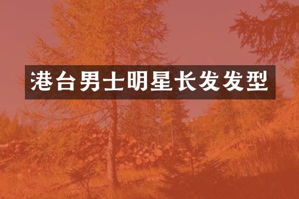 港台男士明星长发发型