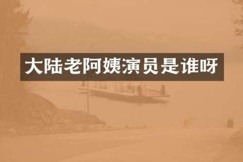 大陆老阿姨演员是谁呀