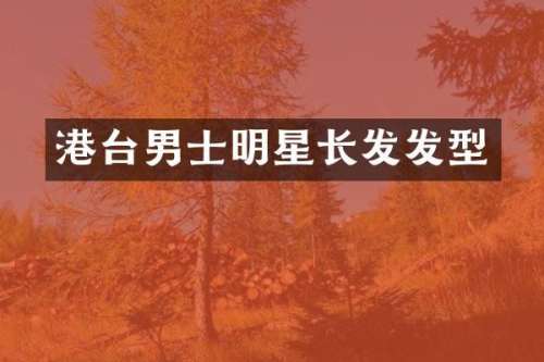 港台男士明星长发发型