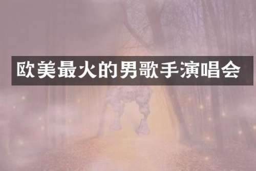 欧美最火的男歌手演唱会