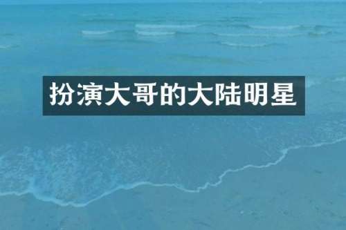 扮演大哥的大陆明星