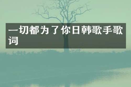 一切都为了你日韩歌手歌词