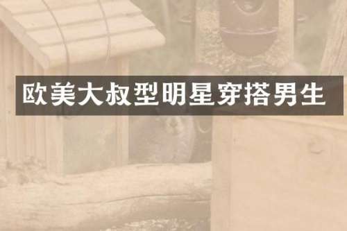欧美大叔型明星穿搭男生