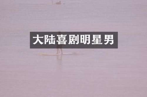 大陆喜剧明星男