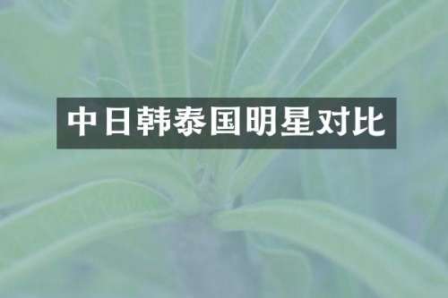 中日韩泰国明星对比