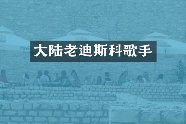 大陆老迪斯科歌手