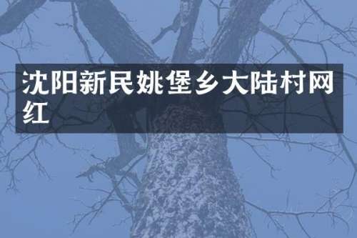 沈阳新民姚堡乡大陆村网红