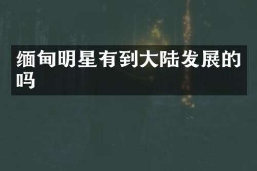 缅甸明星有到大陆发展的吗
