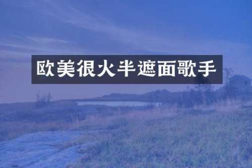 欧美很火半遮面歌手