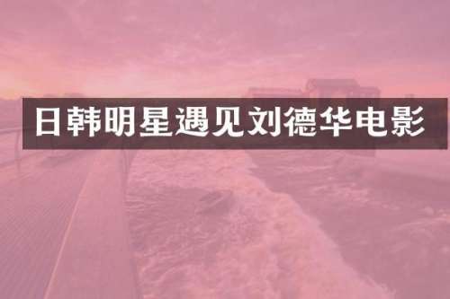 日韩明星遇见刘德华电影