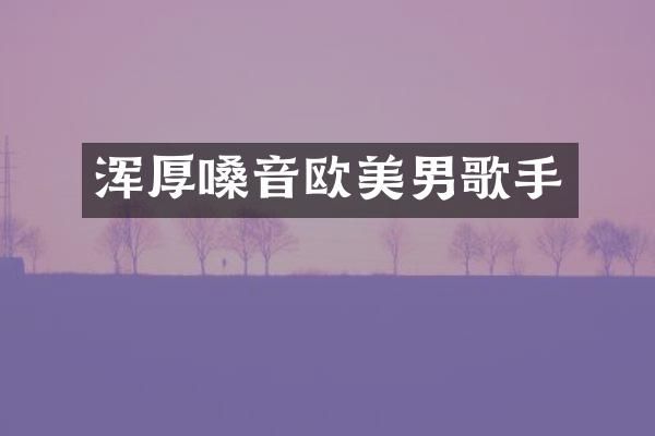 浑厚嗓音欧美男歌手