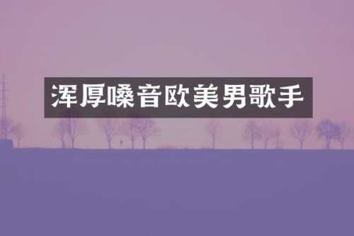 浑厚嗓音欧美男歌手