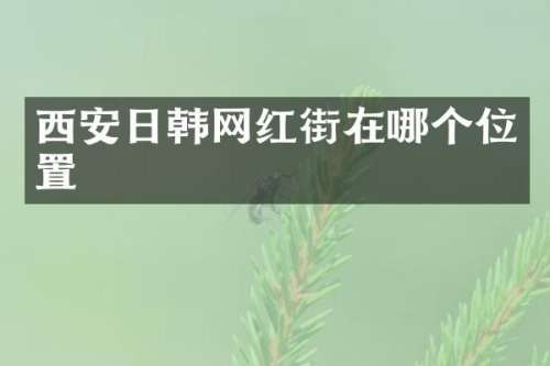 西安日韩网红街在哪个位置
