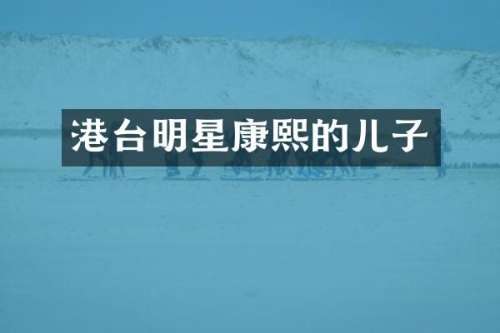 港台明星康熙的儿子