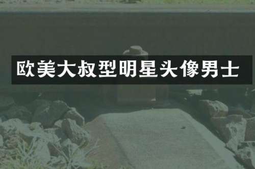 欧美大叔型明星头像男士