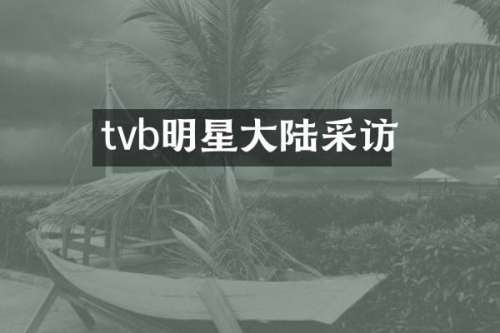 tvb明星大陆采访