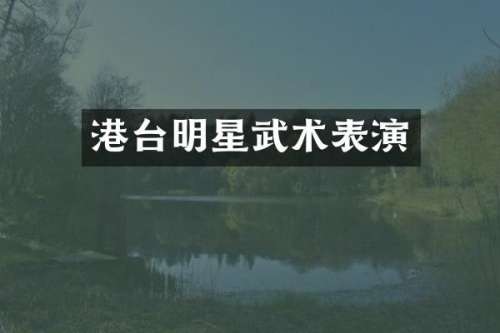 港台明星武术表演