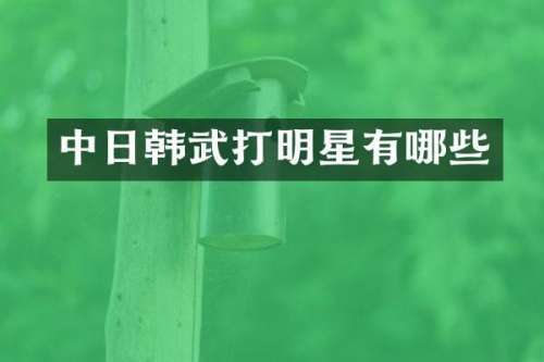 中日韩武打明星有哪些