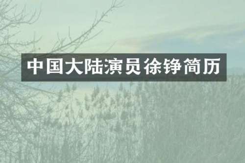 中国大陆演员徐铮简历