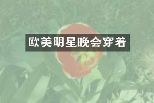 欧美明星晚会穿着
