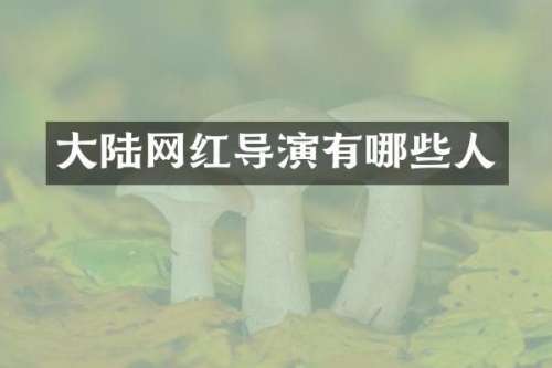 大陆网红导演有哪些人