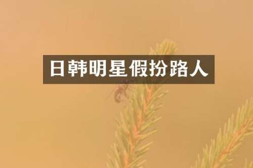 日韩明星假扮路人