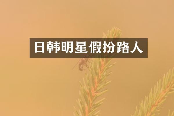 日韩明星假扮路人