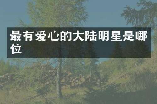 最有爱心的大陆明星是哪位