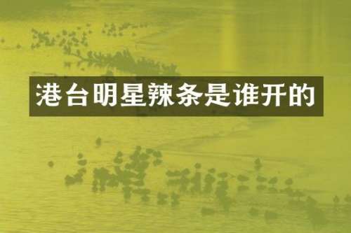 港台明星辣条是谁开的