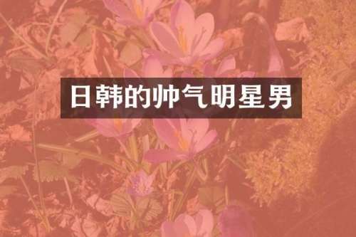 日韩的帅气明星男