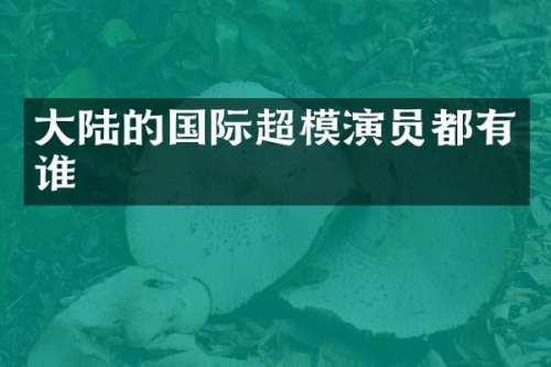 大陆的国际超模演员都有谁