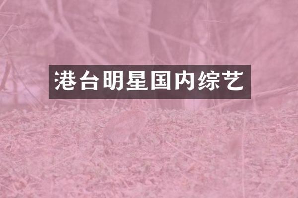 港台明星国内综艺