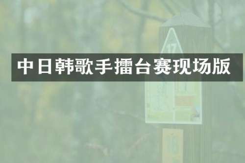 中日韩歌手擂台赛现场版