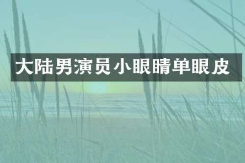 大陆男演员小眼睛单眼皮