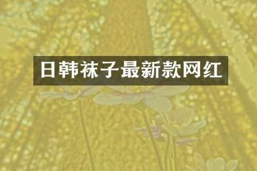 日韩袜子最新款网红