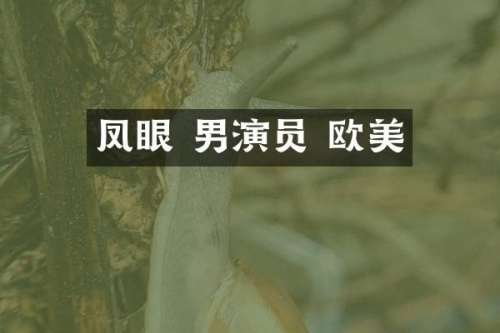 凤眼 男演员 欧美