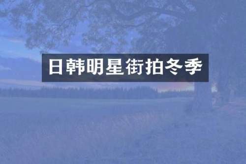 日韩明星街拍冬季